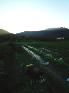101104_164410.jpg