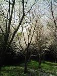100406_141622.jpg