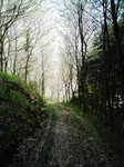 100406_141731.jpg