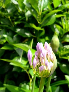 DSC_9841.JPG