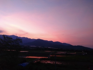 DSC_9880.JPG