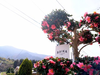 DSC_9881.JPG
