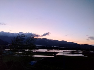 DSC_9888.JPG