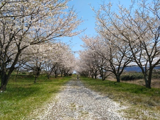 DSC_9937.JPG