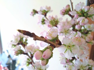 DSC_9937~2.JPG