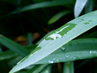 DSC_9943.JPG
