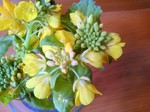 IMG_20130208_095103.jpg