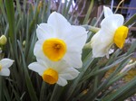 IMG_20130208_095155.jpg
