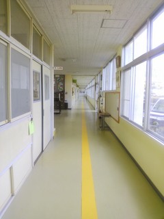 IMG_20130211_175941.jpg