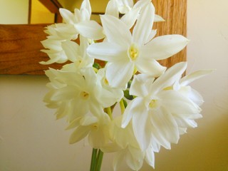IMG_20130222_164502.jpg