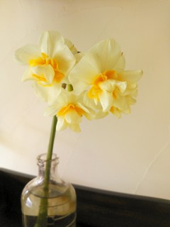 IMG_20130222_164624.jpg