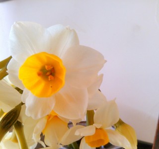 IMG_20130222_164745.jpg