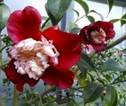 IMG_20130303_203531.jpg