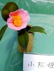 IMG_20130303_203651.jpg