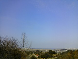 IMG_20130303_203830.jpg