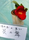 IMG_20130303_204013.jpg