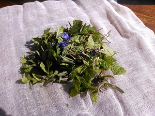 IMG_20130305_102545.jpg