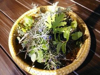IMG_20130305_102635.jpg