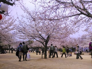 IMG_20130327_202244.jpg