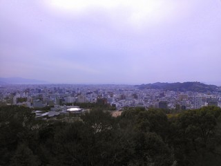 IMG_20130327_202305.jpg