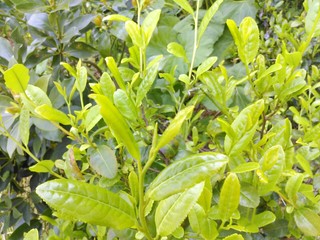 IMG_20130506_175540.jpg