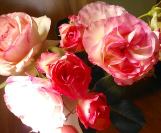 IMG_20130520_180836.jpg