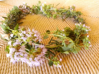 IMG_20130710_113242.jpg