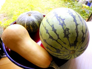 IMG_20130807_143019.jpg