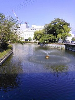 IMG_20130814_115543.jpg