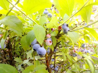 IMG_20130817_232617.jpg