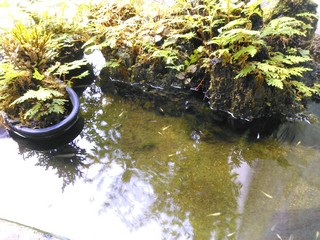 IMG_20130823_180757.jpg