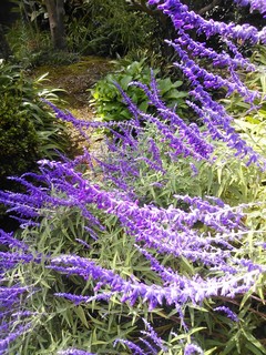 IMG_20131002_160525.jpg