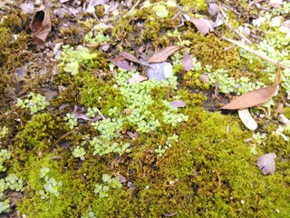IMG_20131018_113902.jpg