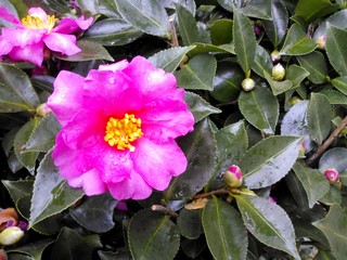 IMG_20131117_181208.jpg