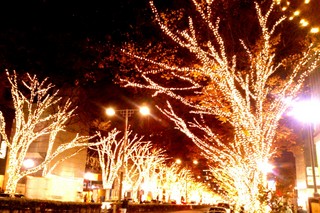 IMG_20131209_180109.jpg