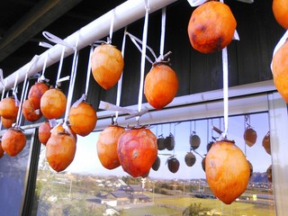 IMG_20131212_155446.jpg
