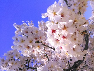 IMG_20140401_193150.jpg