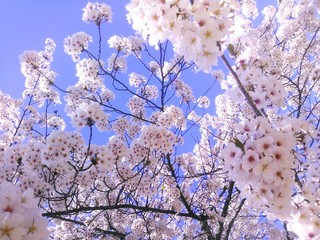 IMG_20140402_025938.jpg