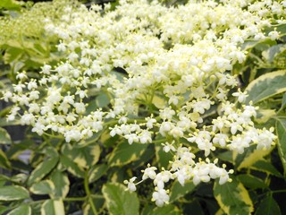IMG_20140519_173500.jpg