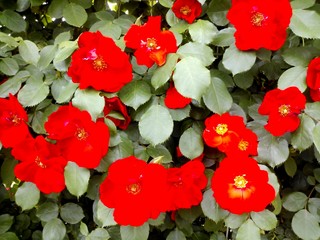 IMG_20140521_180540.jpg
