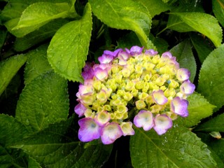 IMG_20140604_174327.jpg