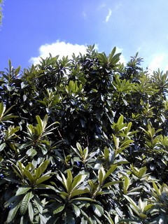 IMG_20140616_175427.jpg