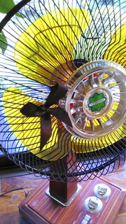IMG_20140725_172421.jpg