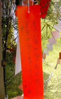 IMG_20140807_144113.jpg
