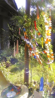 IMG_20140807_144420.jpg