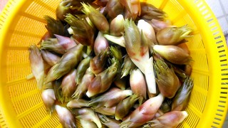 IMG_20140807_144517.jpg