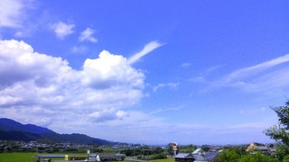 IMG_20140811_161053.jpg