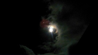 IMG_20140811_161333.jpg