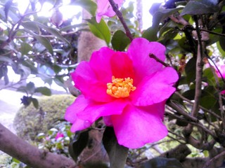 IMG_20141212_163157.jpg
