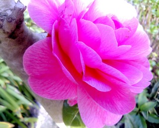 IMG_20150321_230408.jpg
